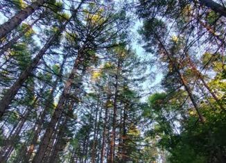 Участок на продажу, 15 сот., село Первушино, Молодёжная улица