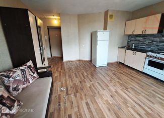 Продажа квартиры студии, 24.6 м2, Челябинск, улица Университетская Набережная, 60, жилой район Академ Риверсайд