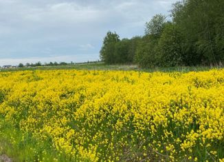 Продаю участок, 12 сот., деревня Заостровье