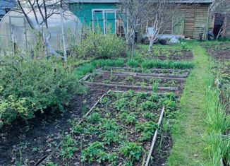 Продам дом, 40 м2, посёлок городского типа Васильево, садовое некоммерческое товарищество Ял, 274