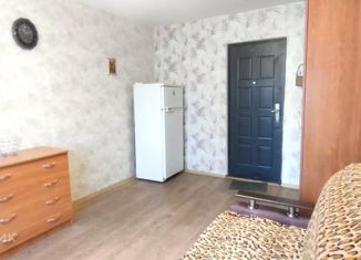 Аренда комнаты, 100 м2, Санкт-Петербург, 2-й Рабфаковский переулок, 17к1