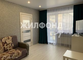 Продам 2-комнатную квартиру, 42.8 м2, Новосибирская область, Фасадная улица, 15