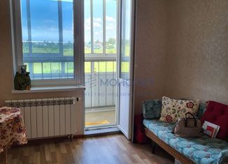 1-комнатная квартира на продажу, 31 м2, посёлок Новинки, 2-я Дорожная улица, 15
