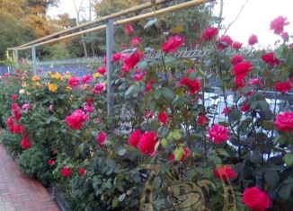 Продажа дома, 63 м2, хутор Нижнетемерницкий, Центральная улица