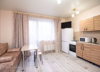 Квартира в аренду студия, 27 м2, Челябинск, улица Косарева, 75, Калининский район