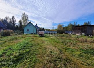 Продам дом, 20 м2, территория СНТ Русановка, Брусничная улица, 311