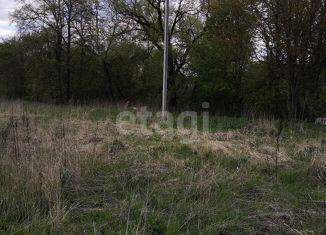 Продажа земельного участка, 22.2 сот., деревня Железня