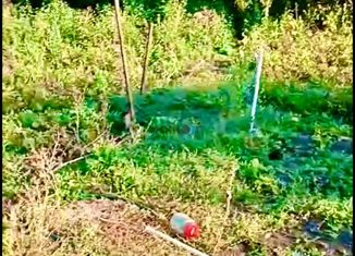 Продаю участок, 570 сот., СНТ Солнечный, СНТ Солнечный, 61