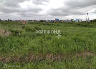 Продам земельный участок, 9.95 сот., рабочий посёлок Коченёво, Тихая улица