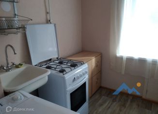 Сдаю в аренду 1-ком. квартиру, 31 м2, Ярославль, проезд Доброхотова, 1, Заволжский район