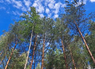 Продаю участок, 8 сот., Всеволожское городское поселение