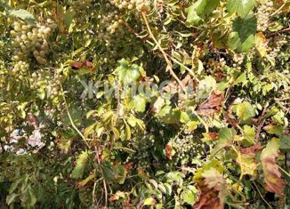 Продаю земельный участок, 18 сот., село Мазанка