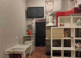 Продажа квартиры студии, 24 м2, Ломоносов, Михайловская улица, 51