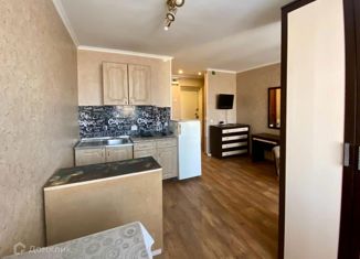 Сдаю квартиру студию, 22 м2, Тамбов, улица Менделеева, 15к1