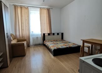 Сдаю квартиру студию, 24 м2, деревня Кудрово, проспект Строителей, 20к2