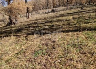 Продажа земельного участка, 2445 сот., село Шебалино, Советская улица