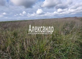 Земельный участок на продажу, 18 сот., деревня Кусино