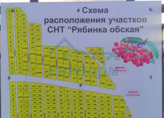 Продажа земельного участка, 10.6 сот., СНТ Рябинка Обская, Западная улица, 7