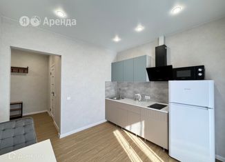 Сдача в аренду 1-ком. квартиры, 40 м2, Новосибирск, Ипподромская улица, 12, метро Октябрьская