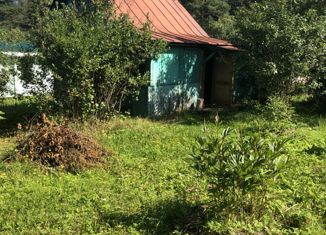 Продам дом, 20 м2, деревня Бяково, Строкинская улица