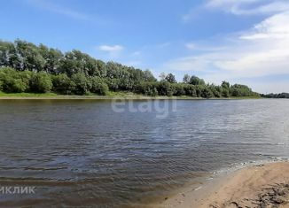 Продаю земельный участок, 36.2 сот., село Борки