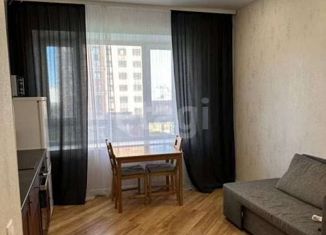 Сдается однокомнатная квартира, 37 м2, Новосибирская область, 1-я Шоссейная улица, 54