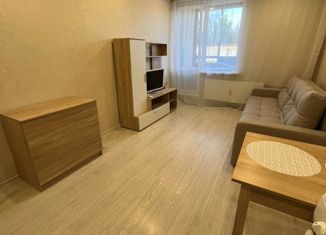 Сдам в аренду квартиру студию, 25 м2, Сертолово, Центральная улица, 14к4