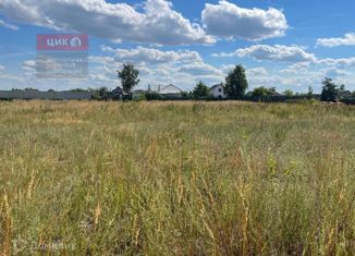 Продам участок, 12 сот., село Шумашь