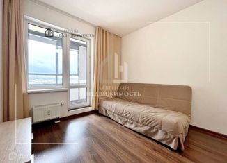 Продаю квартиру студию, 24.5 м2, Санкт-Петербург, проспект Ветеранов, 175, метро Проспект Ветеранов