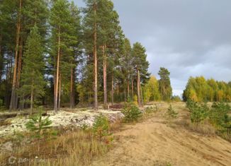 Продажа земельного участка, 30 сот., деревня Визябож