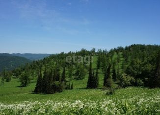 Земельный участок на продажу, 666 сот., село Нижний Куюм