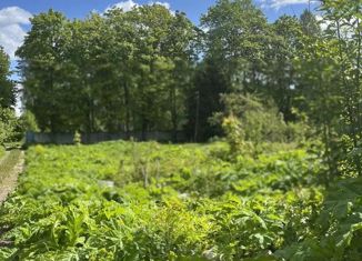 Продаю земельный участок, 14 сот., поселок Елизаветино, Гатчинское шоссе, 4