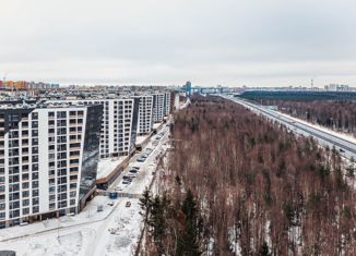 Продается квартира студия, 21.77 м2, Санкт-Петербург, Планерная улица, 91к1, ЖК Нью Тайм