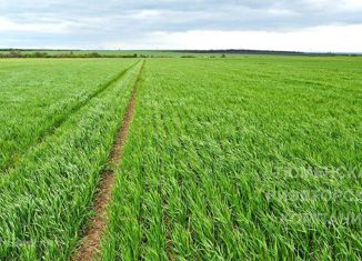 Продам участок, 90000 сот., село Солобоево, Октябрьская улица