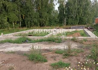 Участок на продажу, 6 сот., село Каменка, Каменская улица