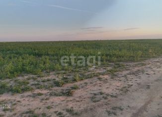 Продам земельный участок, 10.4 сот., СНОГ Бриз-2, Девятнадцатая улица