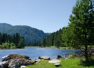 Земельный участок на продажу, 68 сот., село Верх-Бийск