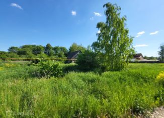 Продам земельный участок, 21.5 сот., деревня Каинки, Центральная улица