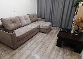 2-комнатная квартира на продажу, 45.2 м2, Новосибирск, улица Писарева, 4, улица Писарева