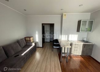 Продается квартира студия, 26.8 м2, Абакан, улица Некрасова, 23Б