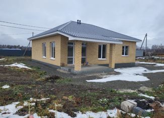 Продаю дом, 135 м2, посёлок Исток, Большая Георгиевская улица