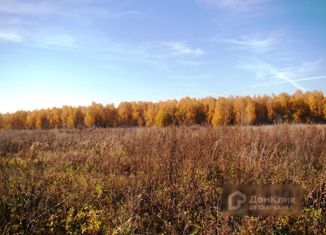 Продам участок, 15 сот., деревня Митино, Васильковая улица