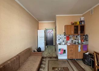 Продажа квартиры студии, 25 м2, Абакан, улица Некрасова, 45