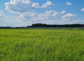 Продается земельный участок, 9.5 сот., деревня Липитино