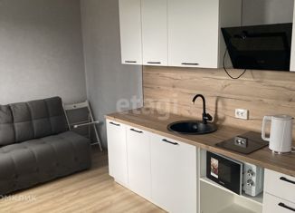 Продам квартиру студию, 23.64 м2, Новосибирск, метро Октябрьская, улица Гаранина, 39