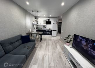 Продаю квартиру студию, 25 м2, Ижевск, улица Холмогорова, 87, жилой район Север