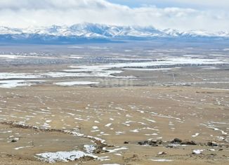 Продажа участка, 249.9 сот., село Теленгит-Сортогой