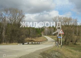 Продам земельный участок, 10 сот., ДНТ Большой Барлак, улица Большой Барлак