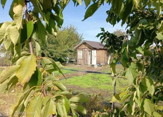 Продаю дом, 10 м2, СНТ Береговое, Красивая улица