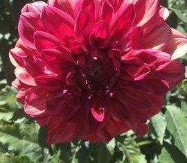 Продажа дома, 55 м2, Анапа, Садовая улица